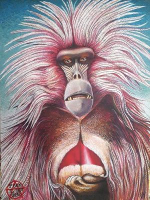 C'est un Gelada un grand singe des hauts plateaux d'Ethiopie interprétation personnelle